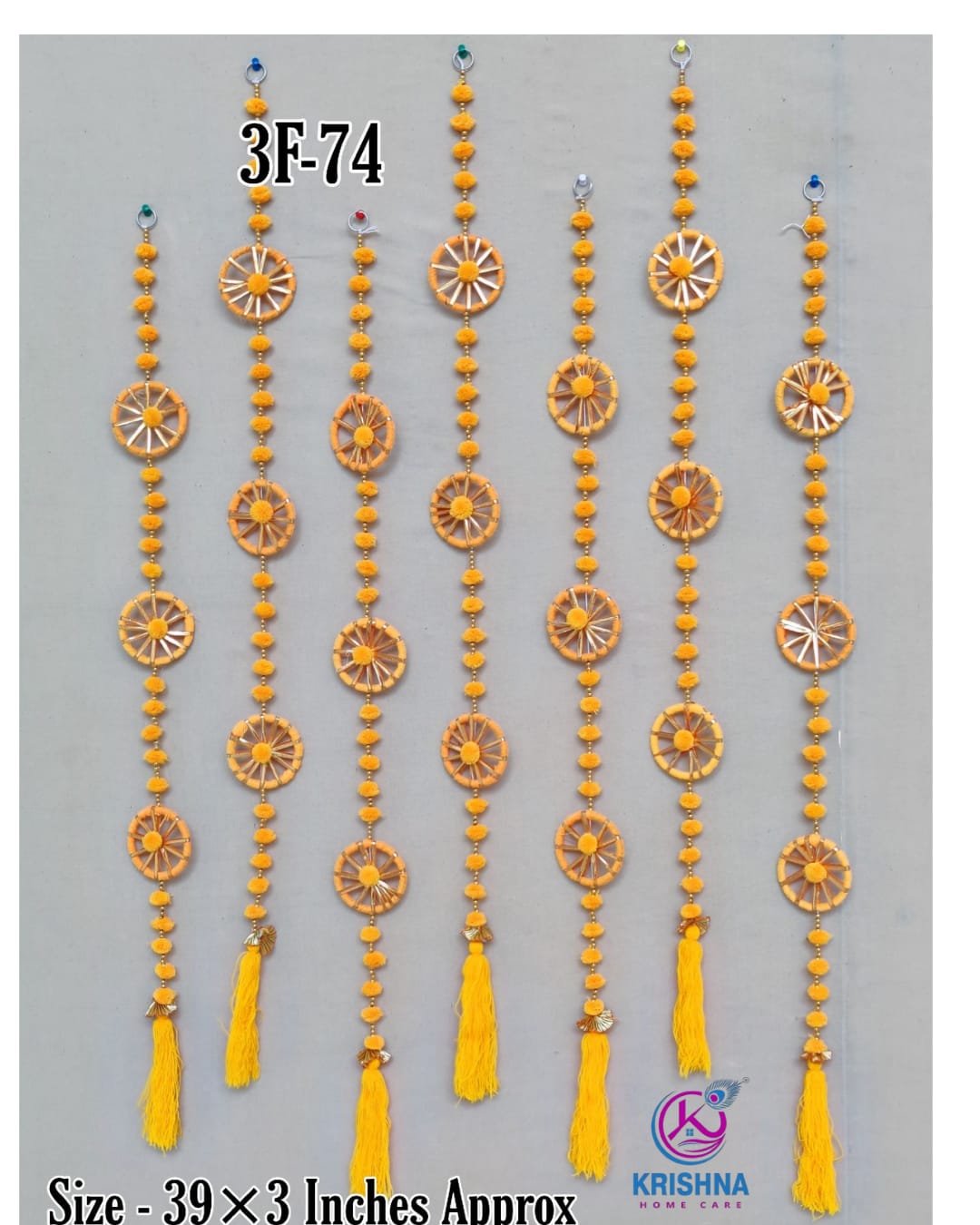 Krishna Hanging 3F-74 (1x12 Pics.)